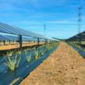 Eficiência energética na agricultura: como aceder ao apoio do IFAP